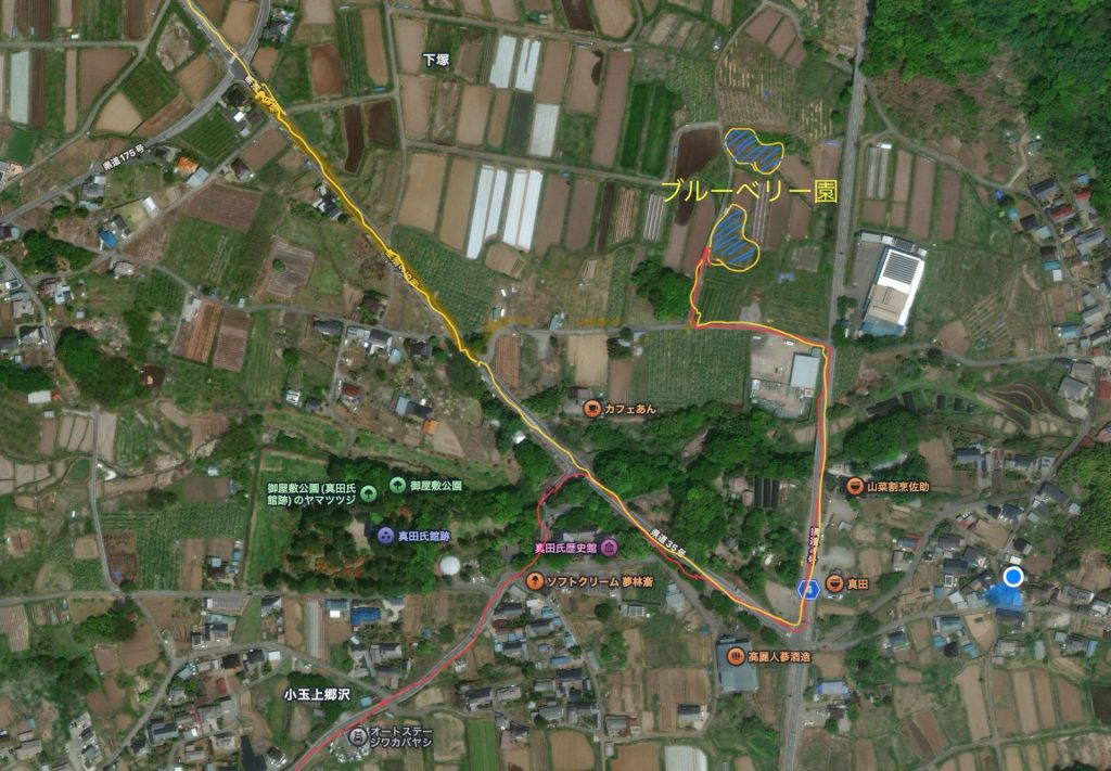 ブルーベリー園マップ