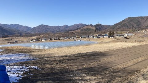 アスパラ園のビニールハウス